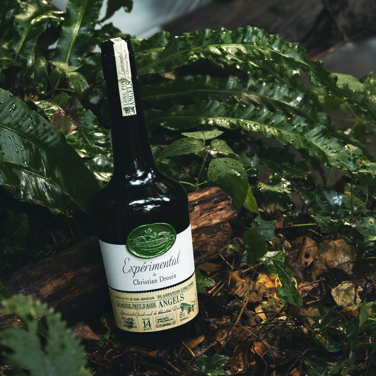 Long Pond Angels Calvados Pays d'Auge Christian Drouin Bouteille