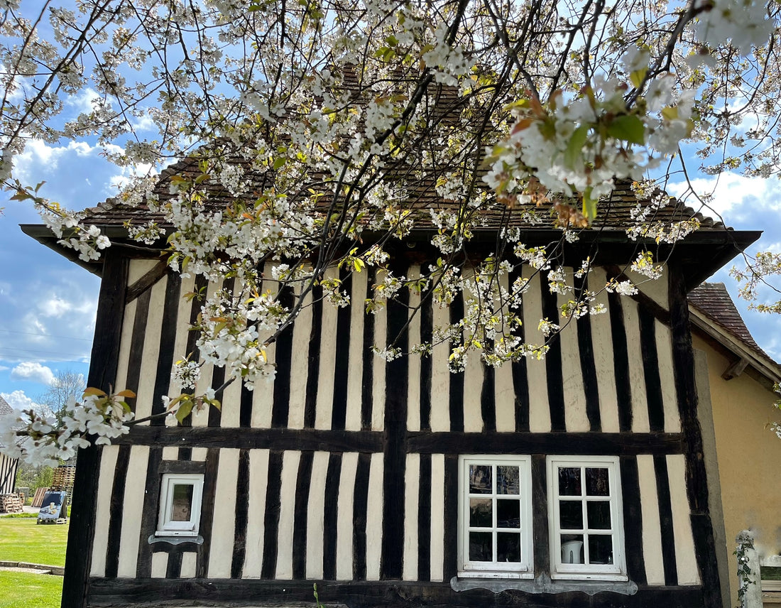 L'appellation d'Origine Contrôlée Calvados Pays d'Auge
