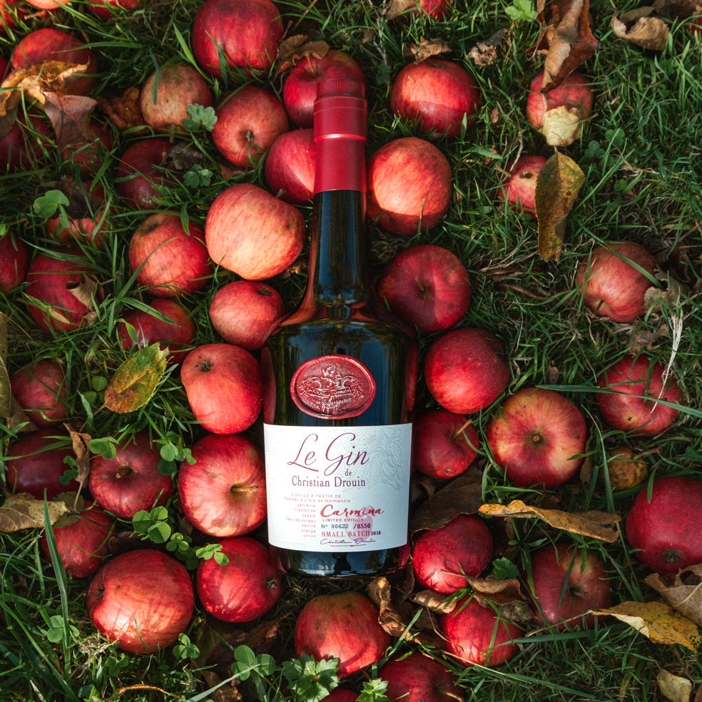 Le Gin Carmina Christian Drouin Pommes
