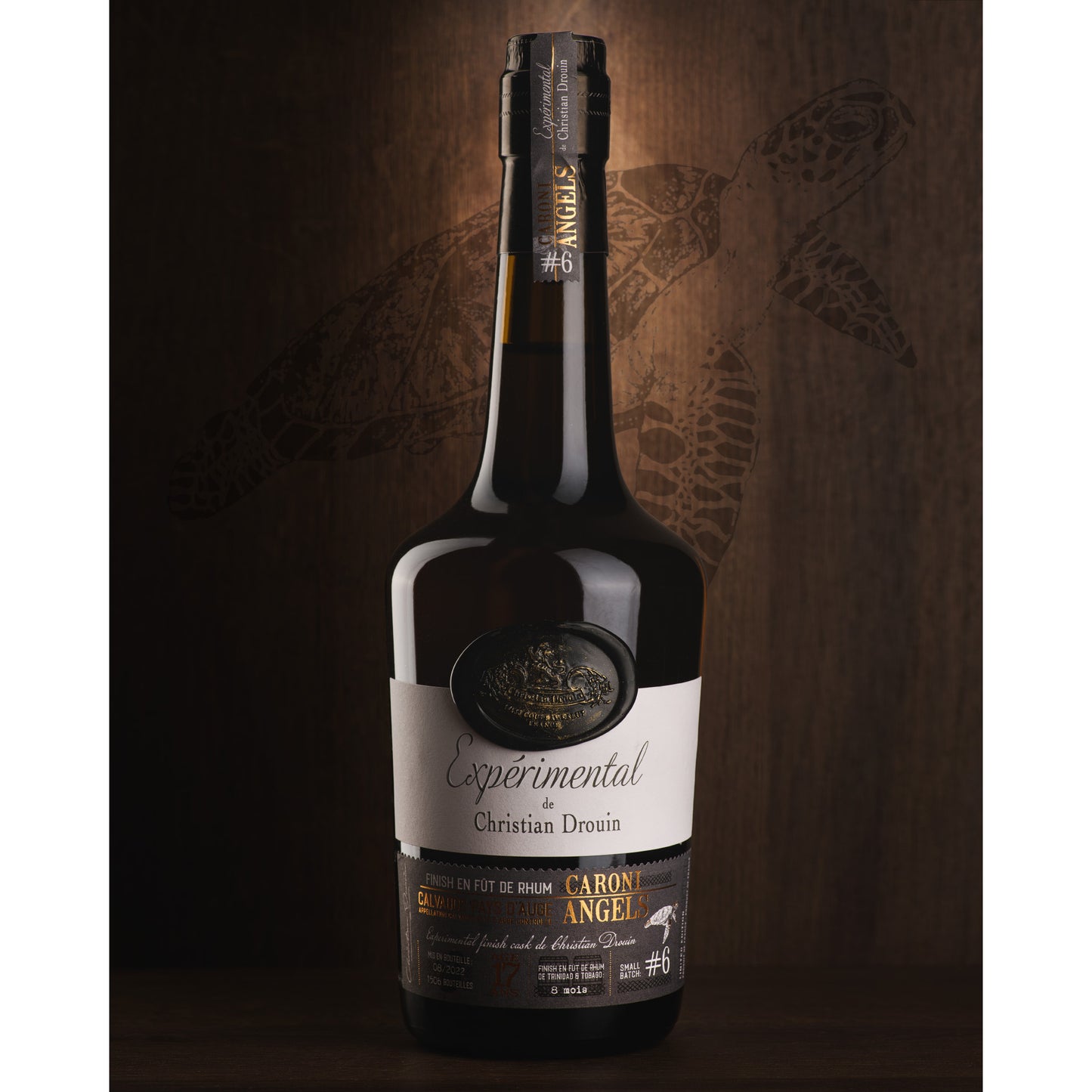 Caroni Angels - Calvados Pays d'Auge - Christian Drouin