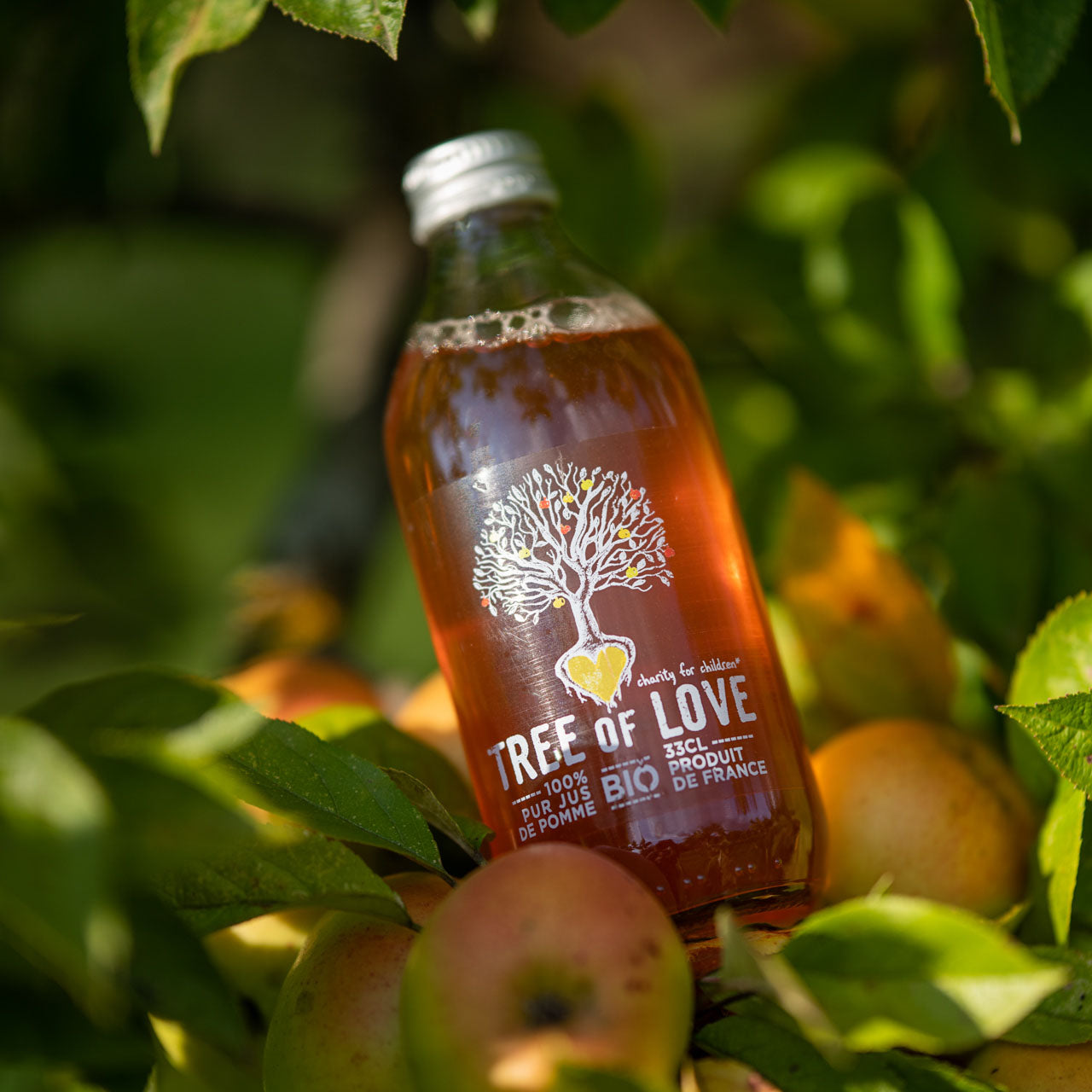 6 x Jus de pomme Tree of Love - Christian Drouin